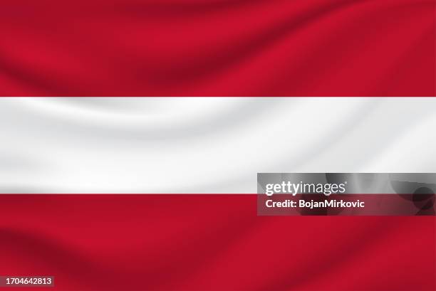 flagge von österreich. vektor - österreichische kultur stock-grafiken, -clipart, -cartoons und -symbole
