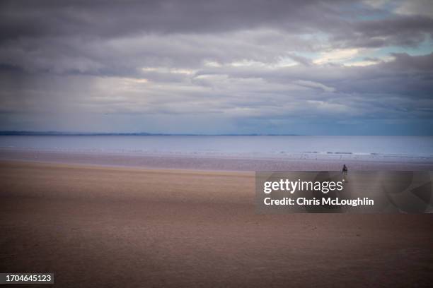 the beach at st andrews, fife in scotland - st andrews scotland stock pictures, royalty-free photos & images