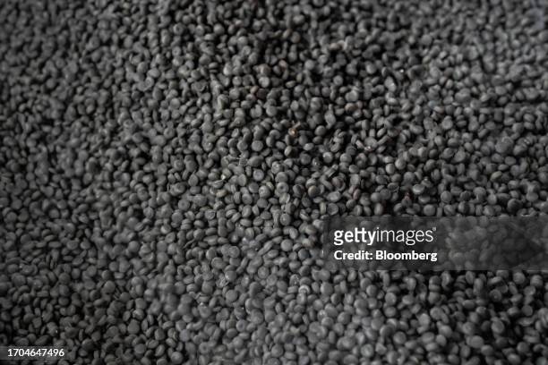 Recycled plastic pellets at the Trex manufacturing facility in Winchester, Virginia, US, on Wednesday, June 7, 2023. Trex Co. Turns plastic from...