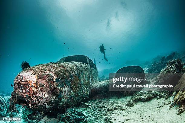 diver and plane wreck - sunken car bildbanksfoton och bilder