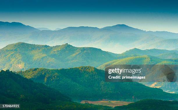 beautiful sunrise at misty morning mountains . - forest landscape stock pictures, royalty-free photos & images