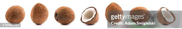 coconuts - coconut bildbanksfoton och bilder