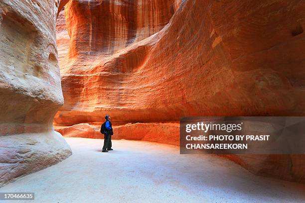 the siq, petra - jordanien stock-fotos und bilder