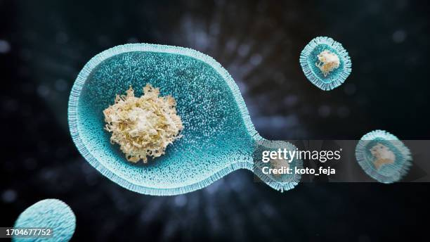 endosomes - nanoparticule photos et images de collection