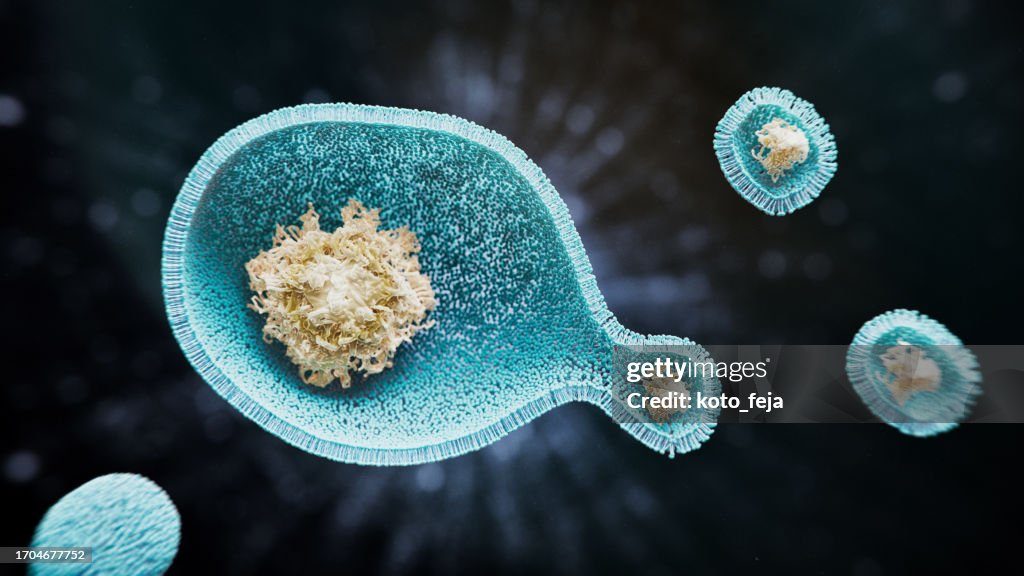 Endosomes