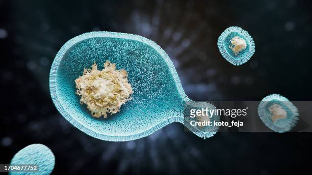 endosomes - cytokinesis 個照片及圖片檔
