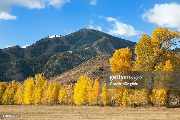 sun valley idaho bald mountain - sun valley idaho stock pictures, royalty-free photos & images