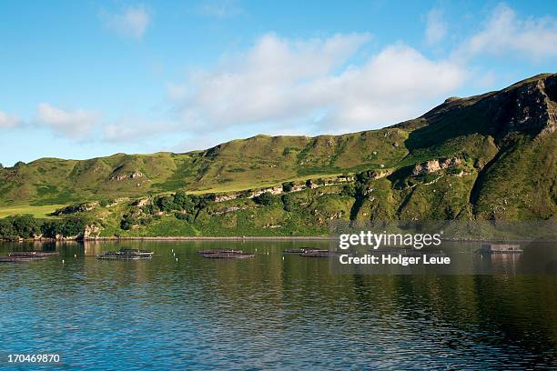 salmon farm in sound of raasay - portree imagens e fotografias de stock