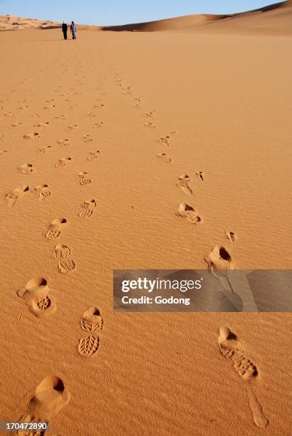 Tracks in the desert sand, Lybia.