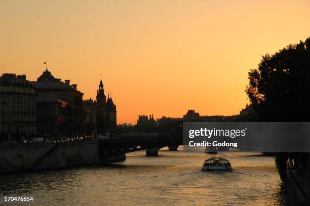 Seine river in Paris, Paris, France.