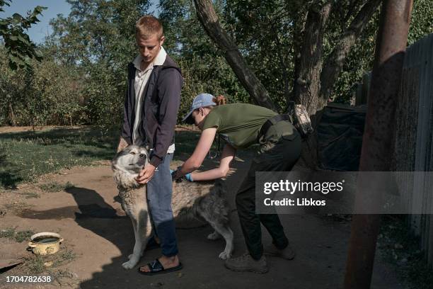 Volunteer veterinarian administers a routine vaccination on a pet dog on October 3, 2023 in Zaporizhzhia region, Ukraine. A group of Ukrainian...