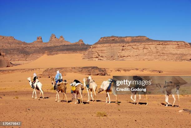 Sebha 11 Mehariste Stock Photos, High-Res Pictures, and Images - Getty Images