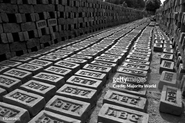 Raw bricks laid under the sun for drying, at a brickfield in Chittagong, Bangladesh. December 9, 2008.