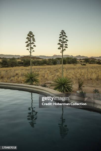 Cheetah viewing and accommodation at Solitair Cheetah park in Namibia.