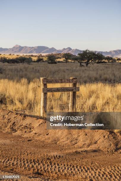 Cheetah viewing and accommodation at Solitair Cheetah park in Namibia.