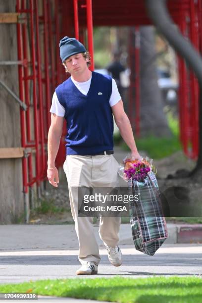 Jeremy Allen White is seen at a farmers market on October 1, 2023 in Los angeles, California.