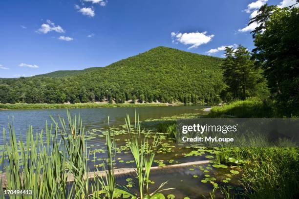 Little Pine State Park Fotografías e imágenes de stock - Getty Images
