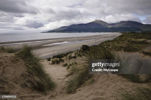 Murlough Dunes, Dundrum Bay, view to the Mourne Mountains and Newcastle, County Down, Northern Ireland, United Kingdom.