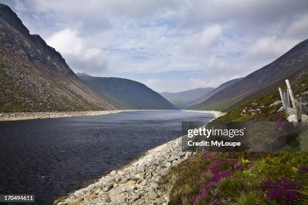 Ben Crom Reservoir, Silent Valley, Mourne Mountains, County Down, Northern Ireland, United Kingdom.
