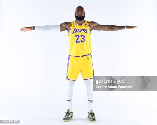 James 4,141 Lebron James Portraits Stock Photos, High-Res Pictures, and ...