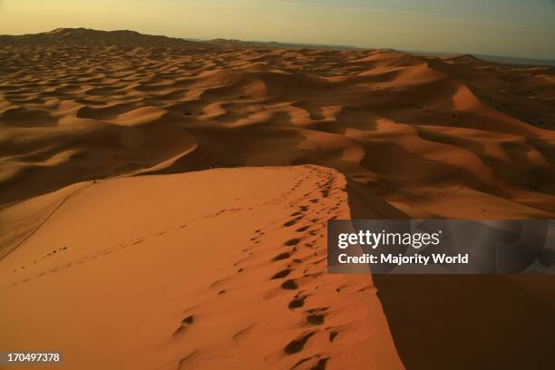 Sand dune at sunrise, near Erg Chebbi, Merzouga, Sahara Desert, Morocco. .