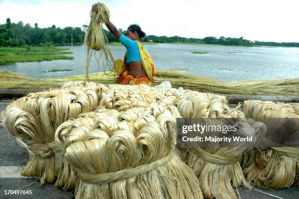 Jute Processing Jute Processing Photos and Premium High Res Pictures - Getty Images