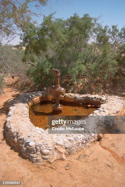 Musa Spring Water 31 Ein Musa Stock Photos, High-Res Pictures, and Images - Getty Images