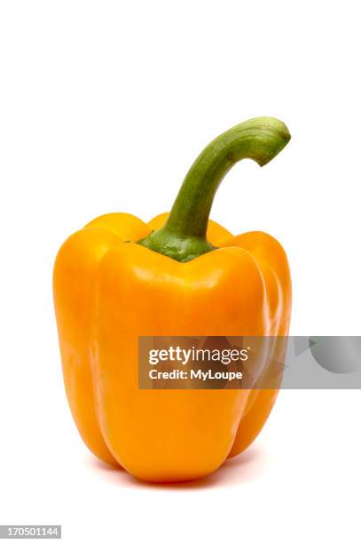 Orange Pepper Chili Capsicum On White Background.