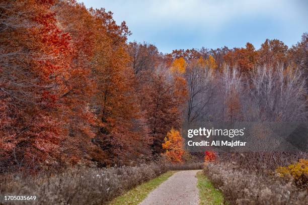 Sandy Ridge Trees 1,420 Dry Ridge Stock Photos, High-Res Pictures, and Images - Getty Images