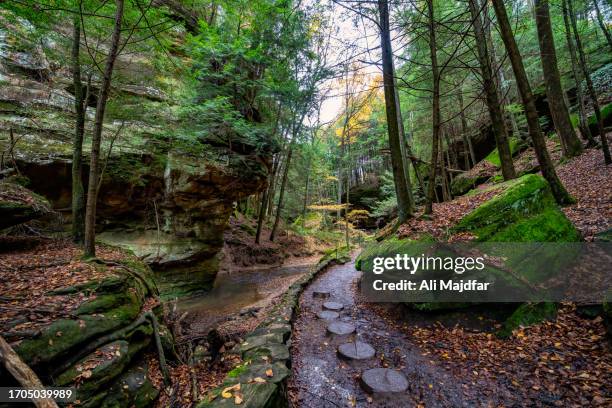 fall colors in hocking hills state park - parco statale foto e immagini stock