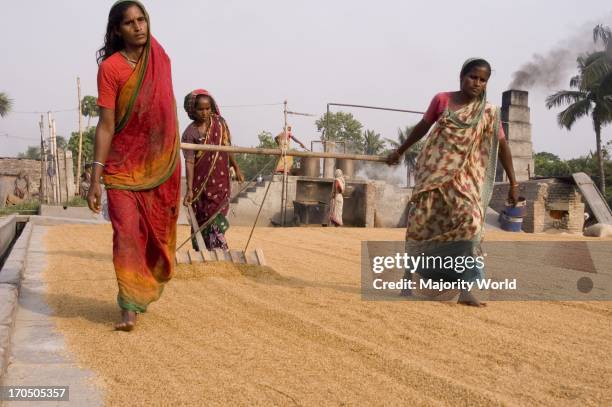Chatal Rismay 48 Chatal Stock Photos, High-Res Pictures, and Images - Getty Images