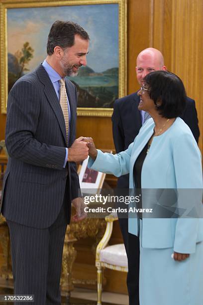 Prince Felipe of Spain receives United Nations High Commissioner for Human Rights Navanethem Pillay at Zarzuela Palace on June 14, 2013 in Madrid,...