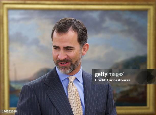 Prince Felipe of Spain receives United Nations High Commissioner for Human Rights Navanethem Pillay at Zarzuela Palace on June 14, 2013 in Madrid,...