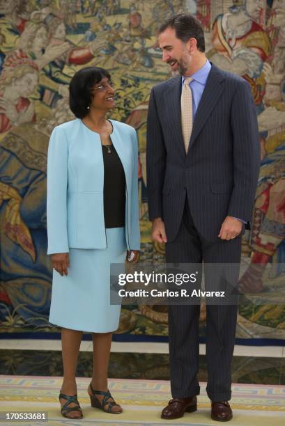 Prince Felipe of Spain receives United Nations High Commissioner for Human Rights Navanethem Pillay at Zarzuela Palace on June 14, 2013 in Madrid,...