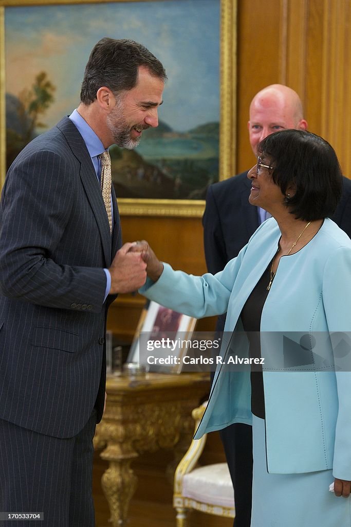 Prince Felipe of Spain Attends Mrs Navanethem Pillay at Zarzuela Palace