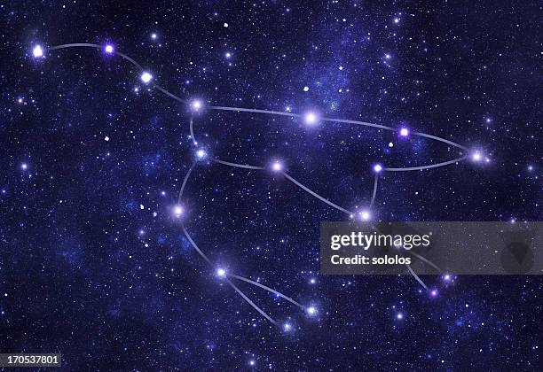 constellations.  grande ourse (uma) - la charrue photos et images de collection