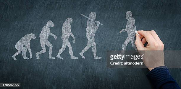 chalkboard illustration of progression of evolution - neanderthal stock pictures, royalty-free photos & images