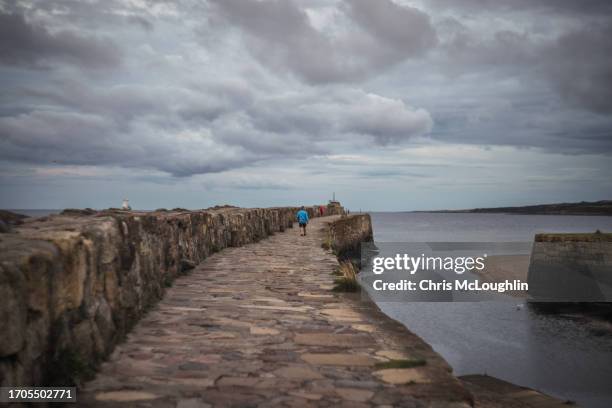 st andrews harbour - st andrews scotland stock pictures, royalty-free photos & images