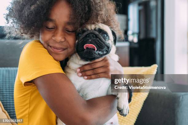 girl and a dog at home. - child holding toy dog stock pictures, royalty-free photos & images