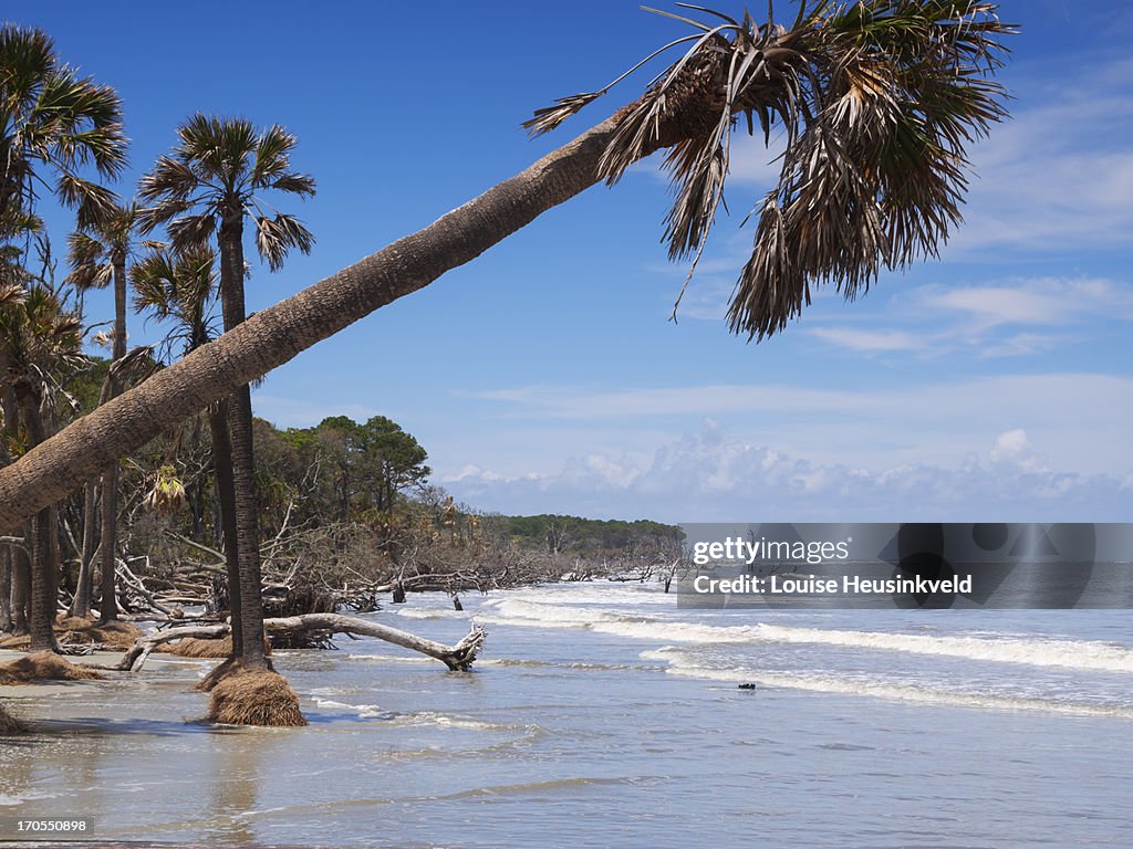 Incoming tide on the beach at Hunting Island