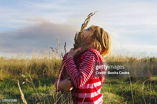 child hugging long grass in field - canterbury plains stock pictures, royalty-free photos & images