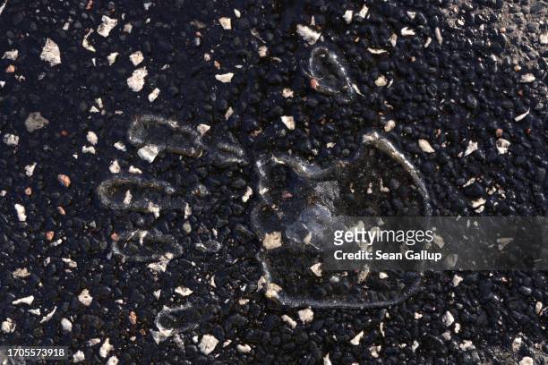 Hand print of glue left behind by an activist from the group "Last Generation" after they were removed by police is visible on the asphalt following...