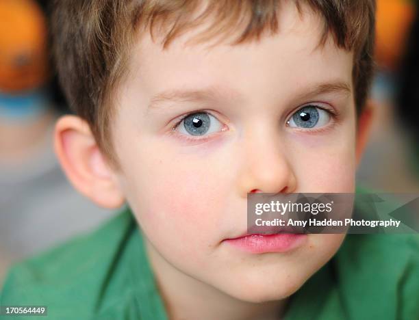 4 year old boy - amy graves stock pictures, royalty-free photos & images