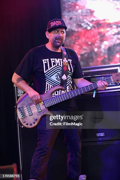 Marc Brownstein of Conspirator performs onstage at The Other Tent during day 2 of the 2013 Bonnaroo Music & Arts Festival on June 14, 2013 in...