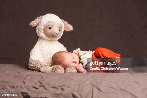 baby, stofftier, studio, rosa, mädchen - pink sheep stock pictures, royalty-free photos & images