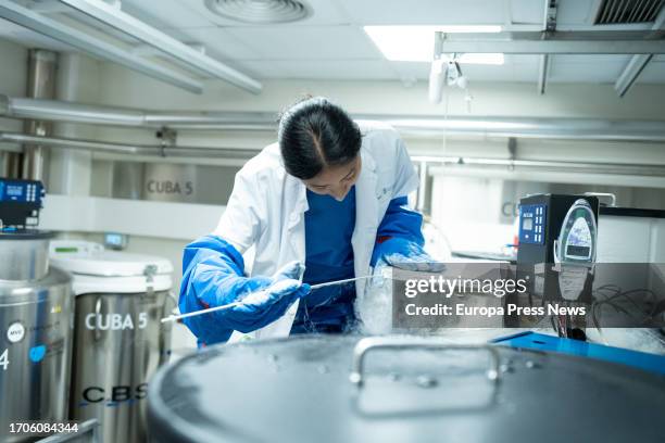 Woman works in the cell cryopreservation room at the Hospital Clinic, on 28 September, 2023 in Barcelona, Catalonia, Spain. This breast cancer...