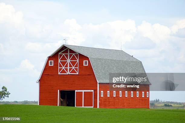 stunning red barn in green field - grain crop - röd lada bildbanksfoton och bilder