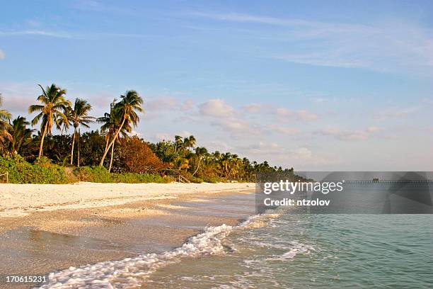 view along naples beach from the sea, lush greenery & sand - naples florida stock pictures, royalty-free photos & images