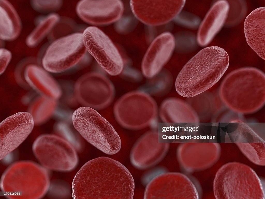 Blood cells