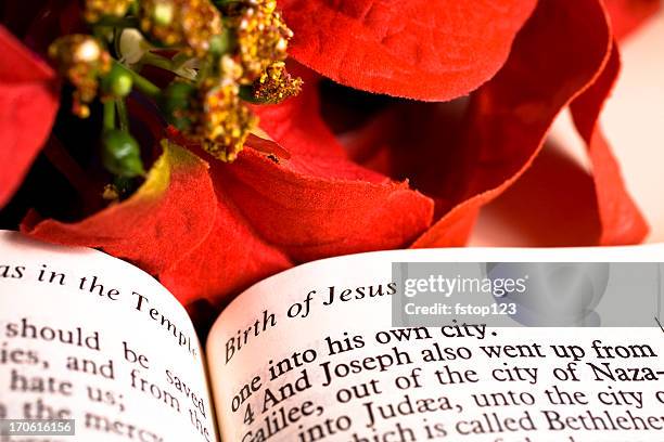 holy bible - christmas poinsettia. birth of jesus story. text. - bud opening stock pictures, royalty-free photos & images